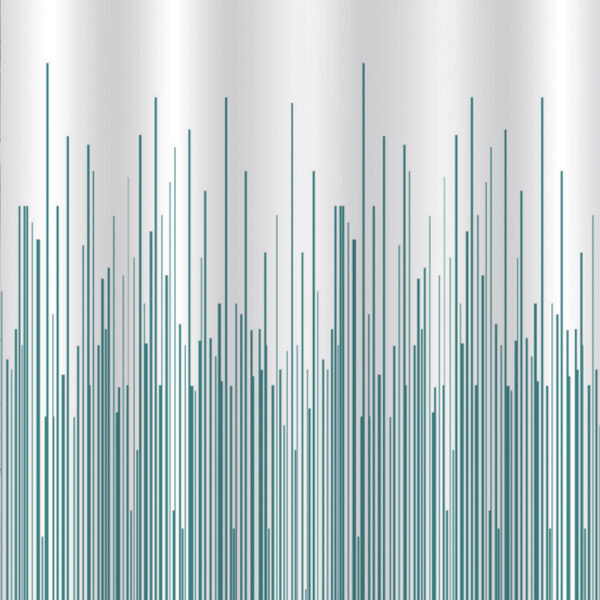 City White Shower Curtain - Shower Accessories